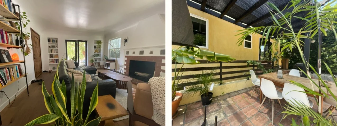 Plant life at casa de Kadlac. Don’t look too closely.